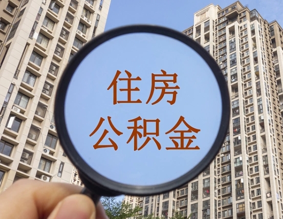 中山退休后查不到公积金明细了吗（退休后公积金查询不到原因）